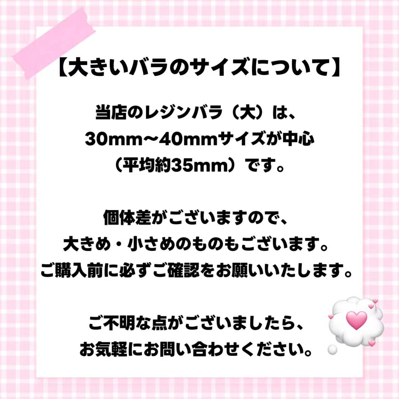 [開封]大きレジンバラ（レジン）<ブライドボックス>-Riko
